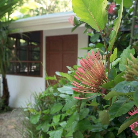 Jungle'S Edge Hotel Nosara Exterior foto
