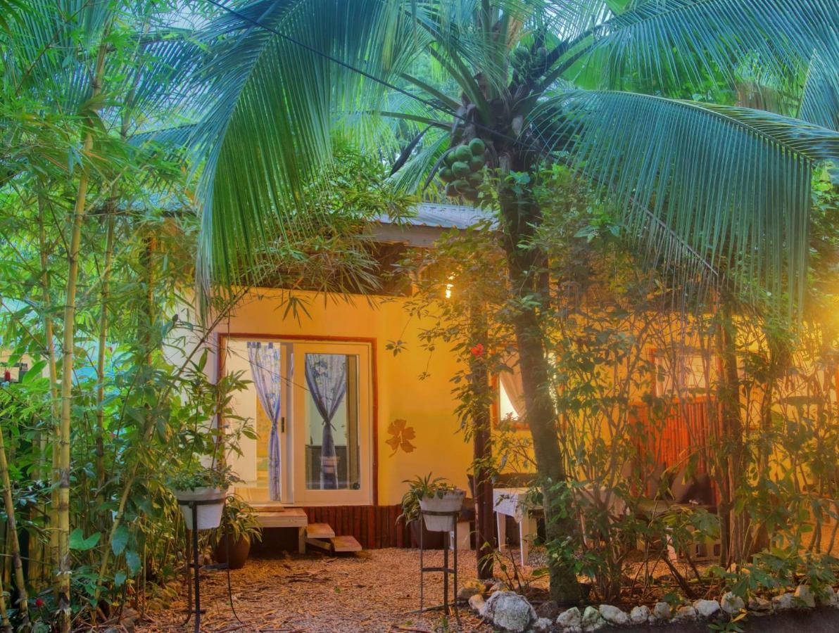 Jungle'S Edge Hotel Nosara Exterior foto
