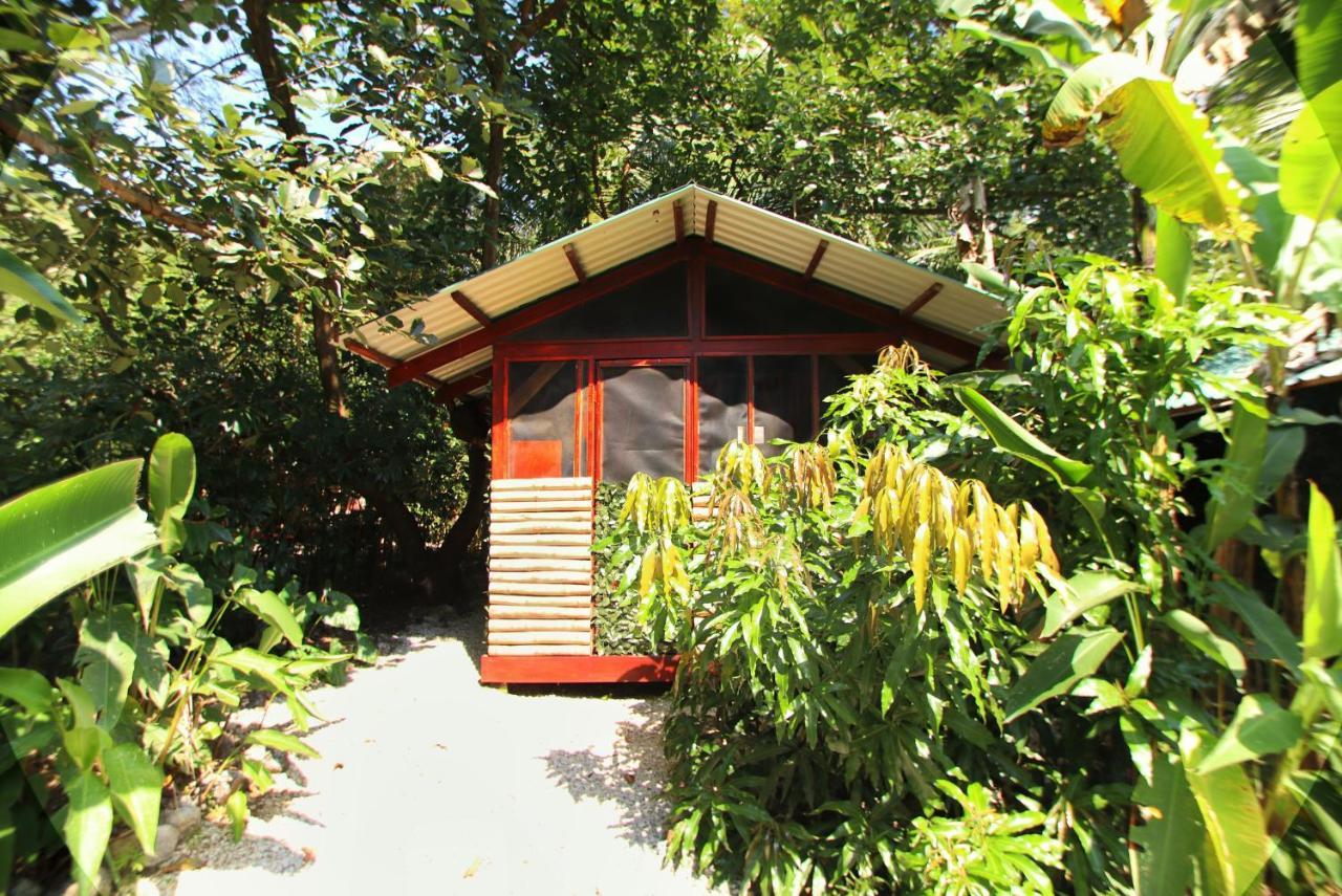Jungle'S Edge Hotel Nosara Exterior foto