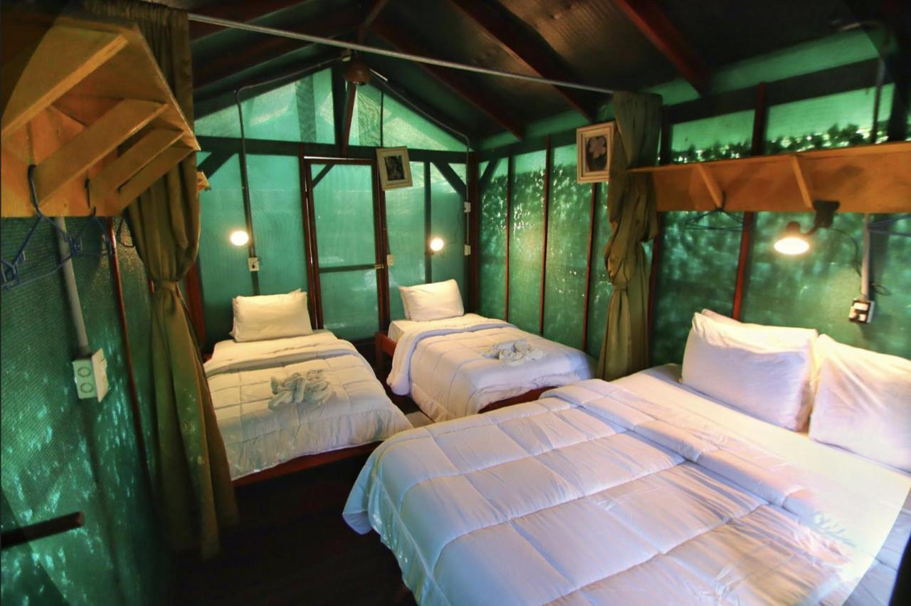 Jungle'S Edge Hotel Nosara Exterior foto