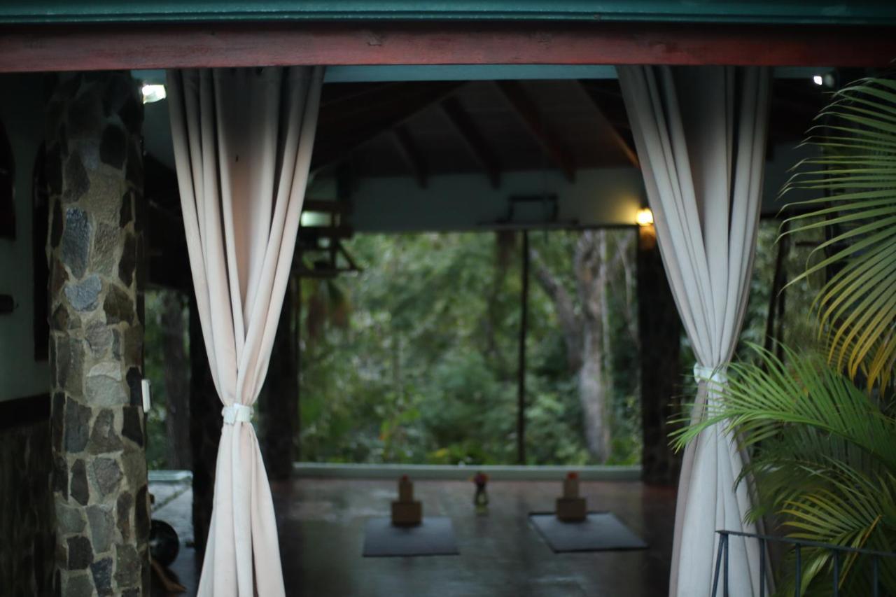 Jungle'S Edge Hotel Nosara Exterior foto