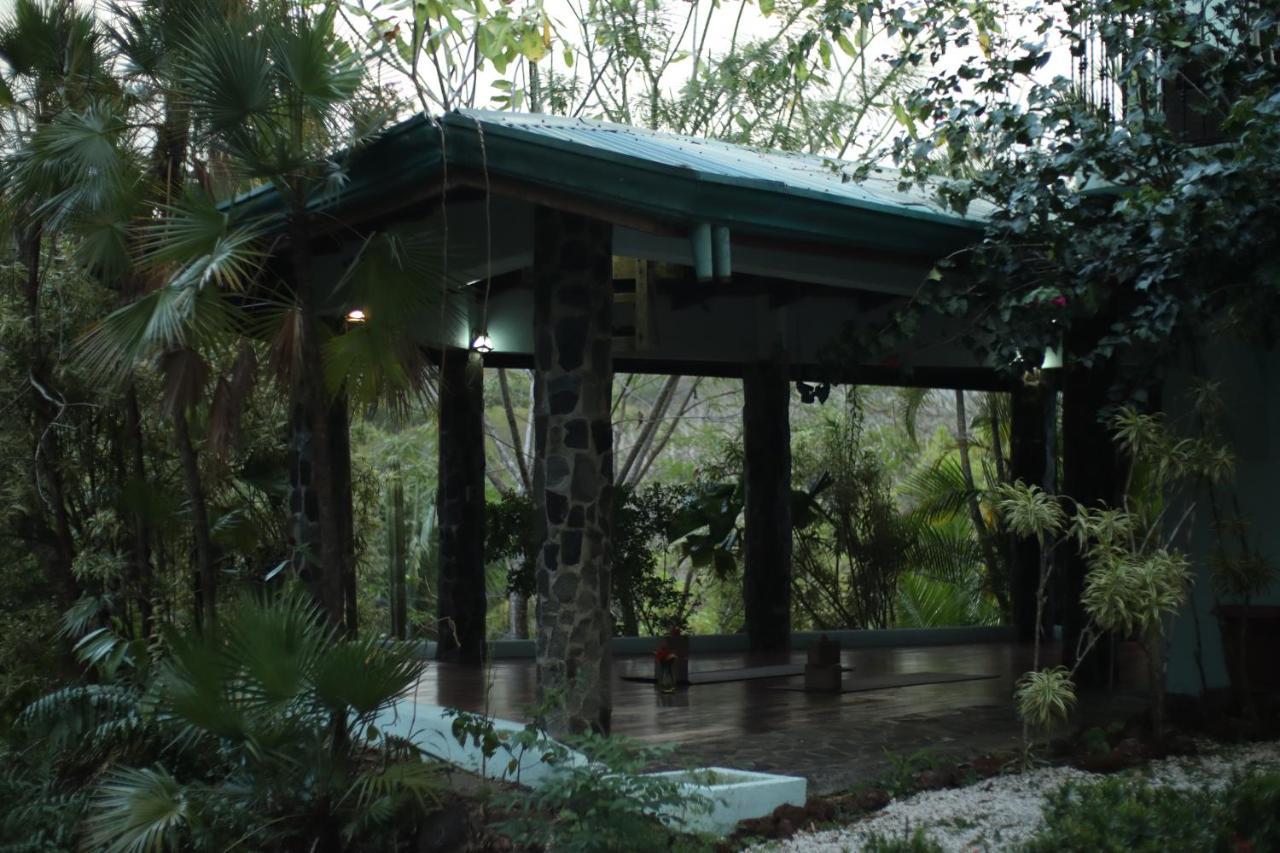 Jungle'S Edge Hotel Nosara Exterior foto