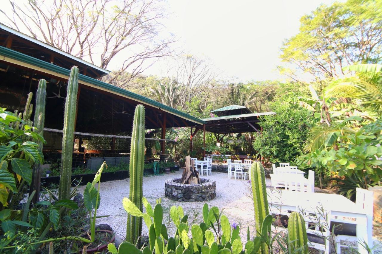 Jungle'S Edge Hotel Nosara Exterior foto
