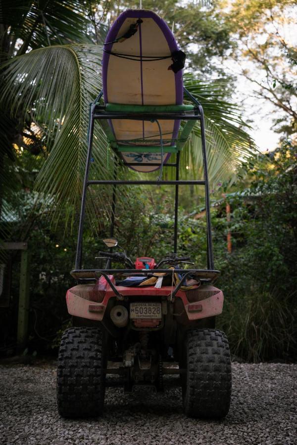 Jungle'S Edge Hotel Nosara Exterior foto