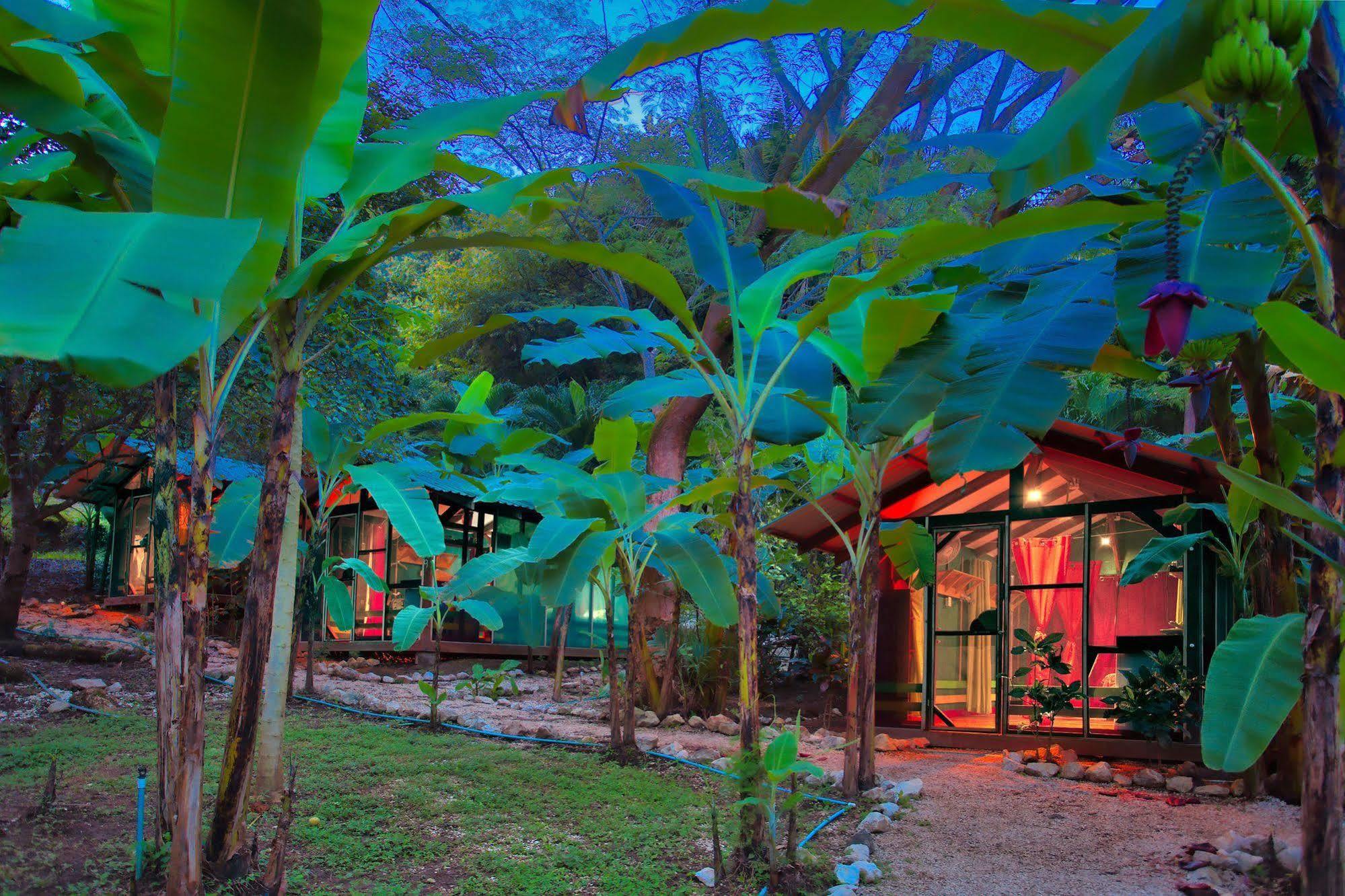 Jungle'S Edge Hotel Nosara Exterior foto